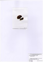 藏品(圈扇藻)的圖片